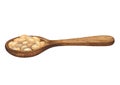 Watercolor wooden spoon with soy beans isolated on the white background Royalty Free Stock Photo