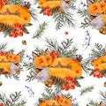 Watercolor woodland fox seamless pattern, Sleeping fox in the forest. Spruce branch, berries, pine cone