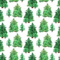 Watercolor woodland  pinetree forest seamless pattern isolated on white Royalty Free Stock Photo