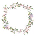 Watercolor wreath with apple tree branch and flowers, blooming tree on white background, isolated watercolor Royalty Free Stock Photo