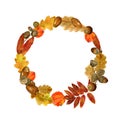 Watercolor wreath of autumn leaves and acorns. Fall composition of bright oak, rowan, aspen foliage and branches Royalty Free Stock Photo