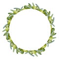 watercolor wreath with branch of green olives with leaves and fruits, hand drawn illustration of olive, round frame on Royalty Free Stock Photo