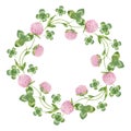 Watercolor wreath with cute clover illustrations. Hand drawn pink clover isolated on the white background. Circle frame of meadow