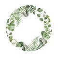 Watercolor wreath with different ferns
