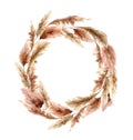 Watercolor wreath with dry pampas grass. Hand painted exotic leaves isolated on white background. Floral illustration Royalty Free Stock Photo