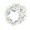 Watercolor wreath with forget me not flowers and chamomile, green leaves Royalty Free Stock Photo