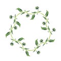 Watercolor wreath or garland. Green leaves.