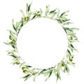Watercolor wreath with green olive berries and leaves. Hand painted floral circle border with olive fruit and tree Royalty Free Stock Photo