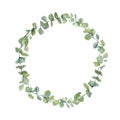 Watercolor wreath with hand painted silver dollar eucalyptus. Green branches and leaves isolated on white background. Floral illu Royalty Free Stock Photo