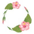 Watercolor wreath with hibiscus leaves and flowers. Hand painted round floral frame. Tropical summer graphic. Royalty Free Stock Photo