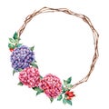 Watercolor wreath with hydrangea and dog rose. Hand painted pink and violet flowers with eucalyptus leaves isolated on