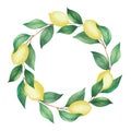 Watercolor wreath of lemons and green branches, leaves. Isolated drawing on a white background Royalty Free Stock Photo