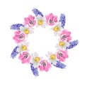 Watercolor wreath of muscari, tulips and daffodils on white background. Royalty Free Stock Photo