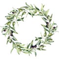 Watercolor wreath of olive branches with black and green berries. Hand painted nature bouquet isolated on white