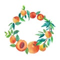 Watercolor wreath with peaches. Summer,botanical frame with delicious fruit in orange