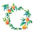 Watercolor wreath with peaches. Summer,botanical frame with delicious fruit in orange