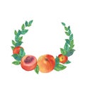 Watercolor wreath with peaches. Summer,botanical frame with delicious fruit in orangeia