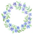 Watercolor wreath of purple flowers periwinkle