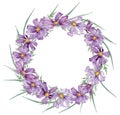 Watercolor wreath with purple summer flowers and green grass. Hand-drawn circle frame isolated on the white background.