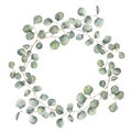 Watercolor wreath with silver dollar eucalyptus branch. Hand painted floral illustration with round leaves isolated on