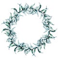 Watercolor wreath with silver eucalyptus leaves. Hand painted floral wreath with branches and white flowers isolated on Royalty Free Stock Photo