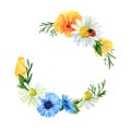 Watercolor wreath of summer meadow flowers and herbs. Floral composition of poppies, cornflowers, ladybug and chamomiles Royalty Free Stock Photo