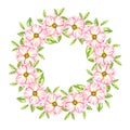 Watercolor wreath of wild rose flowers on a white background Royalty Free Stock Photo