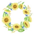 Watercolor yellow and blue flowers wreath. Hand painted sunflower round frame with cornflowers and wheat spikelets. Fall