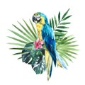 Watercolor yellow blue macaw parrot, South American parrot with tropical palm leaves. Hand drawn illustration, clip art Royalty Free Stock Photo