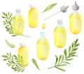 Watercolor yellow essential oil in glass dropper bottles with green eucalyptus branches. Hand drawn aromatherapy spa elements on