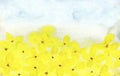 Watercolor yellow flowers on blue sky background for your text or image Royalty Free Stock Photo