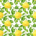 Watercolor yellow lemon branch and leaves seamless pattern. Hand drawn citrus plants isolated on white background