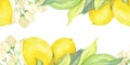 Watercolor yellow lemons, flowers and green leaves