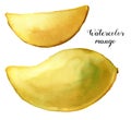 Watercolor yellow mango set. Hand painted tropical fruits isolated on white background. Botanical food illustration for Royalty Free Stock Photo
