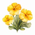 Watercolor Yellow Pansies: Vibrant Floral Clipart For Design Projects Royalty Free Stock Photo