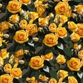 pattern with watercolor yellow rose buds Royalty Free Stock Photo