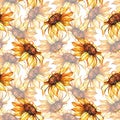 Watercolor yellow sunflower flower seamless pattern background Royalty Free Stock Photo