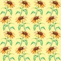 Watercolor yellow sunflower flower seamless pattern texture background Royalty Free Stock Photo