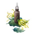 Watercolor ylang ylang oil