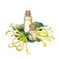 Watercolor ylang ylang oil