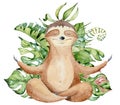 Watercolor yoga sloth in lotus position cute hand drawn illustration