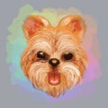 Watercolor Yorkie Dog Cartoon isolated on a white background Royalty Free Stock Photo