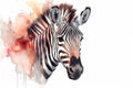 Watercolor zebra portrait illustration on white background Royalty Free Stock Photo