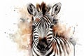 Watercolor zebra portrait illustration on white background