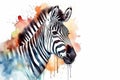 Watercolor zebra portrait illustration on white background Royalty Free Stock Photo