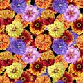 Watercolor zinnia pattern