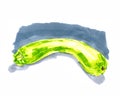 Watercolor zucchini - hand painted raster illustration