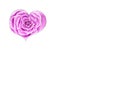 Watercolor ÃÂ±llustratÃÂ±on rose ÃÂ±n a heart purple collor