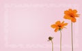 Watercolored orange flowers on violet or green background