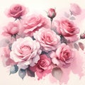 Watercolors of a bunch of beautiful pink roses on a pink background by generative AI